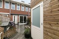 Foto van Krokus 6, Voorhout