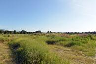 Historische woningfoto van Zuiderdreef 33, Bergen op Zoom uit 2019