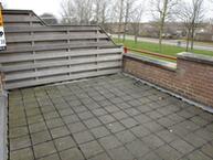 Foto van Torp 49, Den Helder