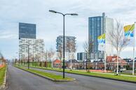 Foto van Hongerlandsedijk 64, Spijkenisse