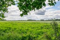 Foto van Hunzeweg 42, Nieuw-Annerveen