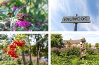 Historische woningfoto van Pauwoog 2, Hellevoetsluis uit 2020