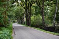 Foto van Noorderkroon 42, Roden
