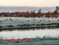 Foto van Skûtsje 49, Gorredijk