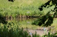 Foto van Durendaal 14, Ede