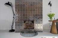 Foto van Burgemeester Falkenaweg 59, Heerenveen