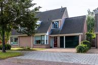 Foto van Engelwortel 8, Nijverdal