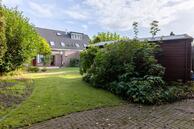 Foto van Engelwortel 8, Nijverdal
