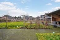 Foto van Vlonder 33, Dalerpeel