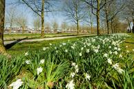 Foto van Ubachsberg 34, De Meern