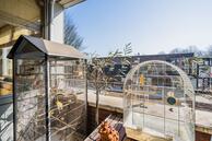 Historische woningfoto van Verdiplein 79a, Tilburg uit 2020