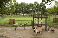 Foto van Gerbrandyborch 16, Rosmalen
