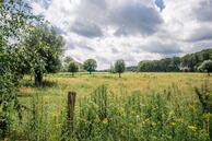 Historische woningfoto van De Scheifelaar 145, Veghel uit 2020