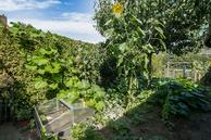 Foto van Bovenmaat 39, Hardenberg