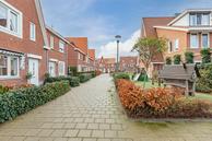 Foto van Krokus 18, Voorhout