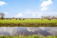 Foto van Landbouwstraat 142, Wildervank