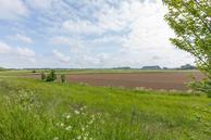 Foto van Aerdtsedijk 7, Aerdt