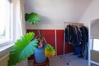 Historische woningfoto van Steendijk 125, Assen uit 2023