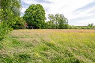 Foto van Wijsterseweg 166, Stuifzand (Midden-Drenthe)