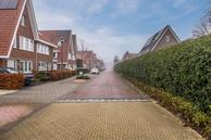 Foto van Krokus 31, Voorhout