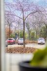 Foto van Doddendaal 4, Ede