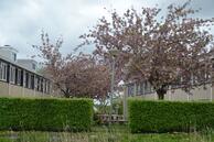 Foto van Planetenlaan 115, Assen