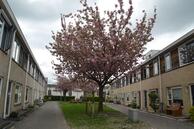 Foto van Planetenlaan 115, Assen