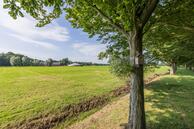 Foto van Noorderkroon 46, Roden
