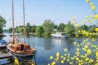 Foto van Driehoekslaan 34, Maarssen