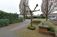 Foto van Cornelis van Sandelaan 18, Odijk