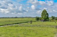 Foto van Kerkvaartsweg 5, Aarlanderveen