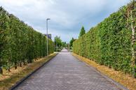 Foto van Lanuariusweg 1, De Meern