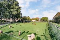 Foto van Capucijnenborch 3, Rosmalen
