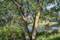 Foto van Capucijnenborch 3, Rosmalen