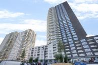 Historische woningfoto van Hongerlandsedijk 982, Spijkenisse uit 2022