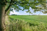 Foto van Buorren 55, Lekkum