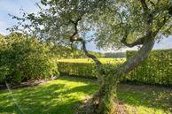 Historische woningfoto van Oosterstreek 54, Oosterstreek uit 2022