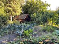 Historische woningfoto van Dedemsvaartseweg-Noord 124a, Lutten uit 2025