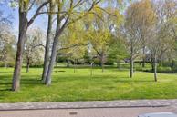 Foto van Lepelaarplantsoen 95, Maassluis