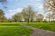 Foto van Lepelaarplantsoen 95, Maassluis