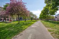 Foto van Maashaven N.z. 667, Rotterdam