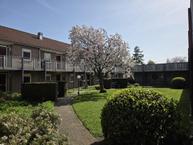 Foto van Burg v d Weijerstraat 38, Bunnik