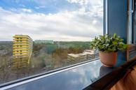 Foto van Laan van Vollenhove 528, Zeist