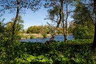 Foto van Bonkelaar 22, Heiloo