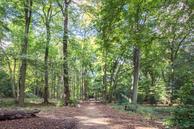 Foto van Schouwtjeslaan 3A, Haarlem