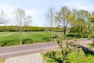 Foto van Noordesch 2, Lieveren