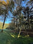 Foto van Paleisweg 12, Garderen
