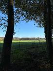 Foto van Paleisweg 12, Garderen