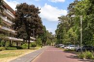 Foto van Graaf Adolflaan 15, Zeist