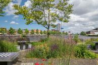 Historische woningfoto van Max Euweplein 21, Haarlem uit 2024